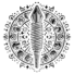 System Balansujący – Bioenergoterapia Darłowo